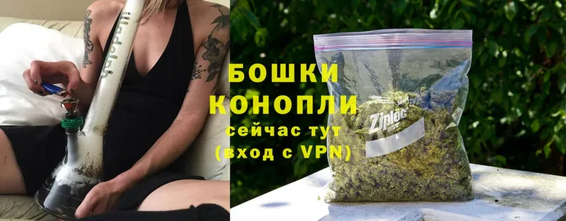 Канабис THC 21%  сайты даркнета какой сайт  Кедровый 